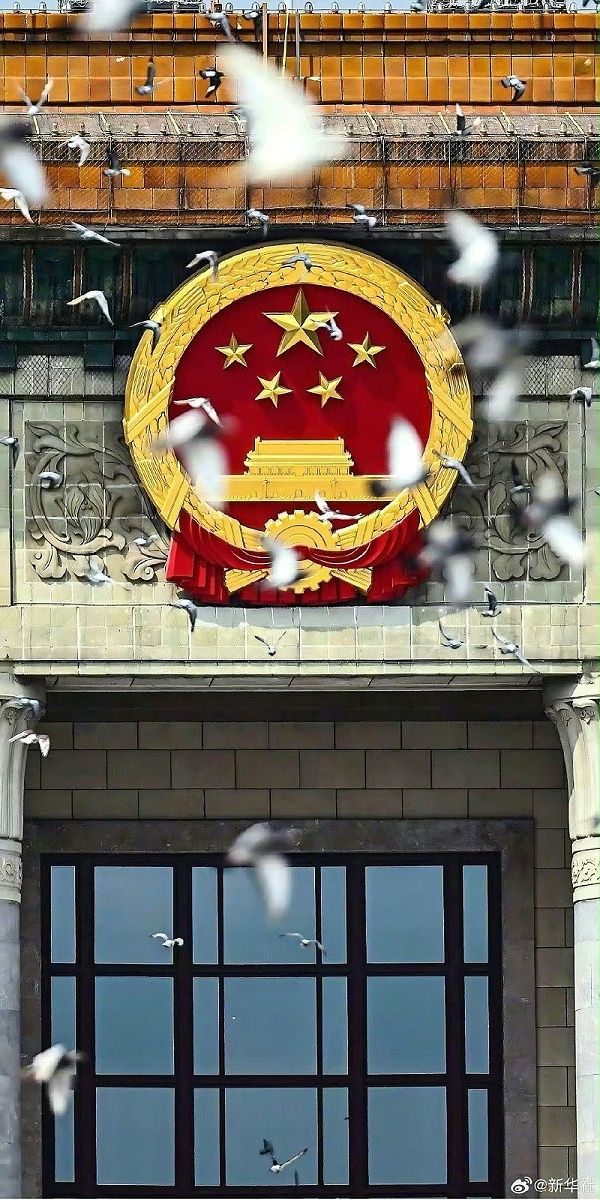 80周年阅兵 (10)